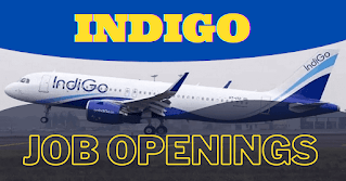 IndiGo Airlines Notification 2022