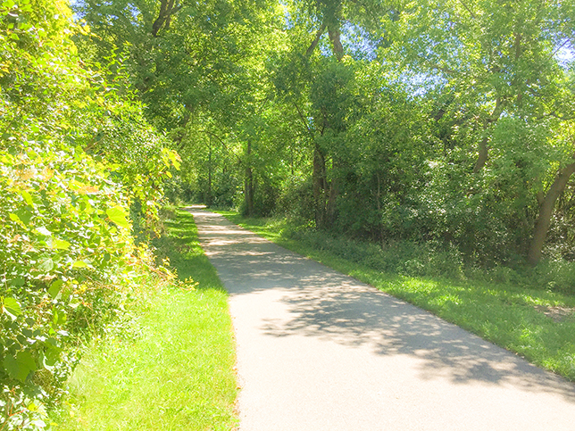 paved bike trail in sun