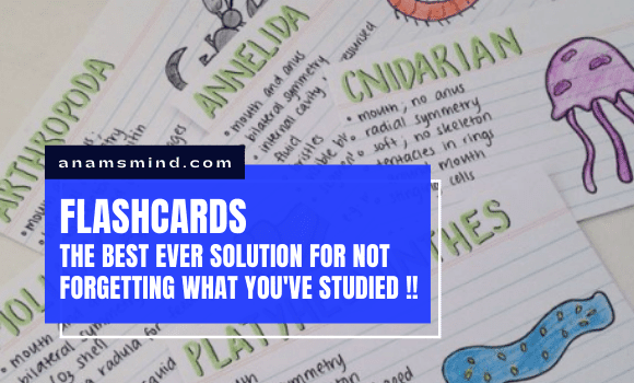 What are flashcards?