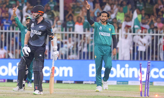 T20 World Cup: Harris and Asif's excellent performance, Pakistan defeated New Zealand