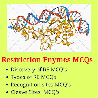 Restriction enzymes mcq's