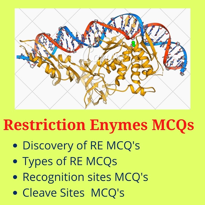 Restriction Enzymes MCQ's probably comes in CSIR NET Entrance Exams.