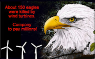 Wind Turbines and birds