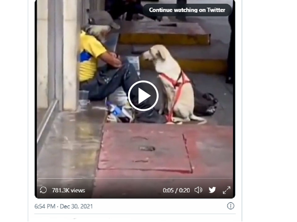 Dog gives tight hug to a homeless man