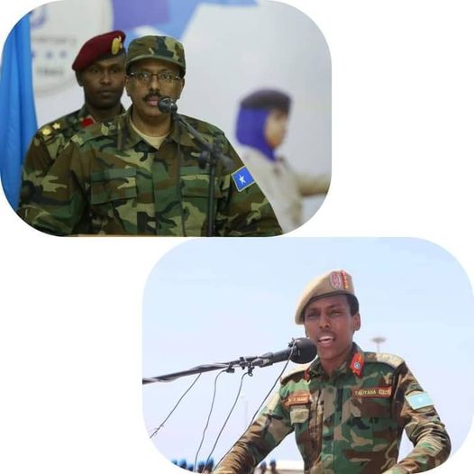حركة الشباب