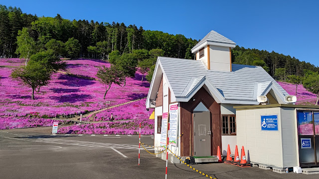 北海道 道北 芝ざくら滝上公園 芝桜