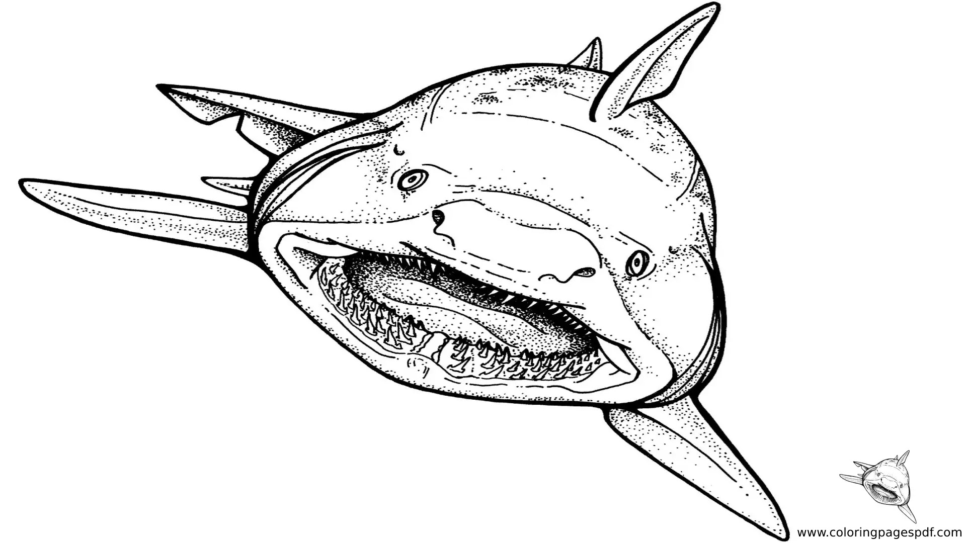 Coloring Pages Of A Big Shark