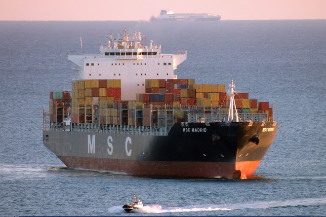 MSC MADRID