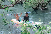 Bakau Purba Ikonik di Bale Mangrove