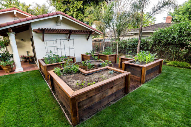 Raised Bed Garden