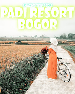 Padi Resort Bogor Jawa Barat - Review, Harga Tiket, Jam Buka, Lokasi Dan Aktivitas [Terbaru]