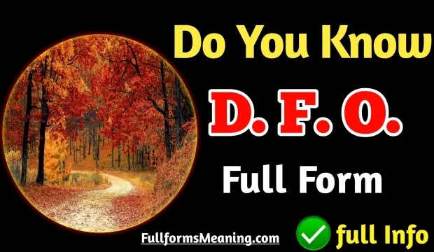 DFO Full Form | What Is The Full Form Of DFO, What Is The DFO Full Form, Full Form Of DFO In Forest Department, DFO Ka Full Form and DFO Forest Full Form, etc And you are disappointed because not getting a satisfactory answer so you have come to the right place to Know the basics about DFO Meaning In Hindi, DFO Full Form In Forest Department, DFO Kya Hai and Forest Officer Kaise Bane, etc.