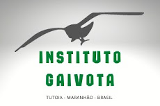 INSTITUTO GAIVOTA