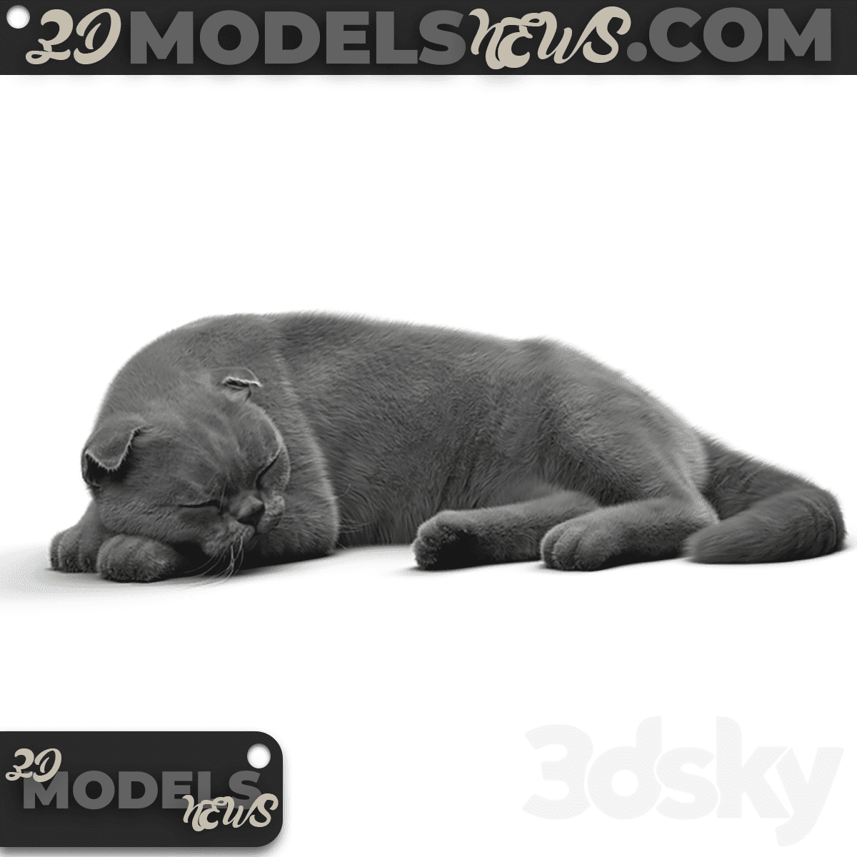 Black Cat Model 2