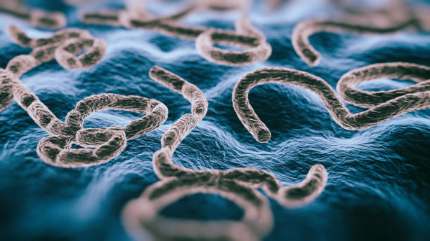Rumores potencialmente mortais sugerem que vacinas COVID contêm Ebola