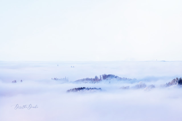 winter, Sauerland, fog, Nebel, photoart, Dorothe Domke, Wilde Wiese, above the clouds,