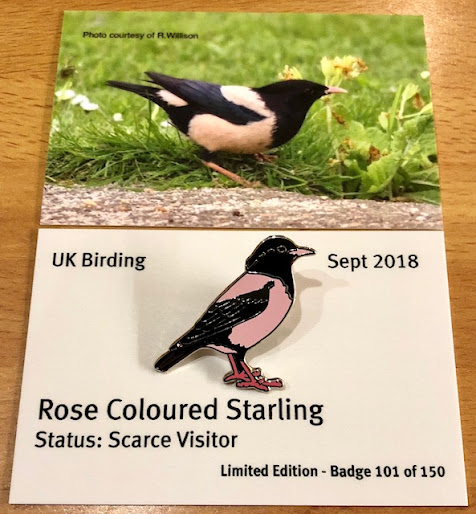 UK Bird Pins