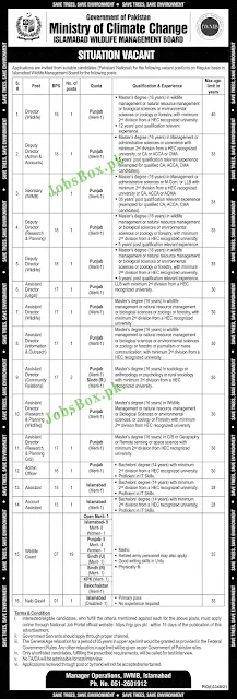 ministry-of-climate-change-jobs-2021-advertisement