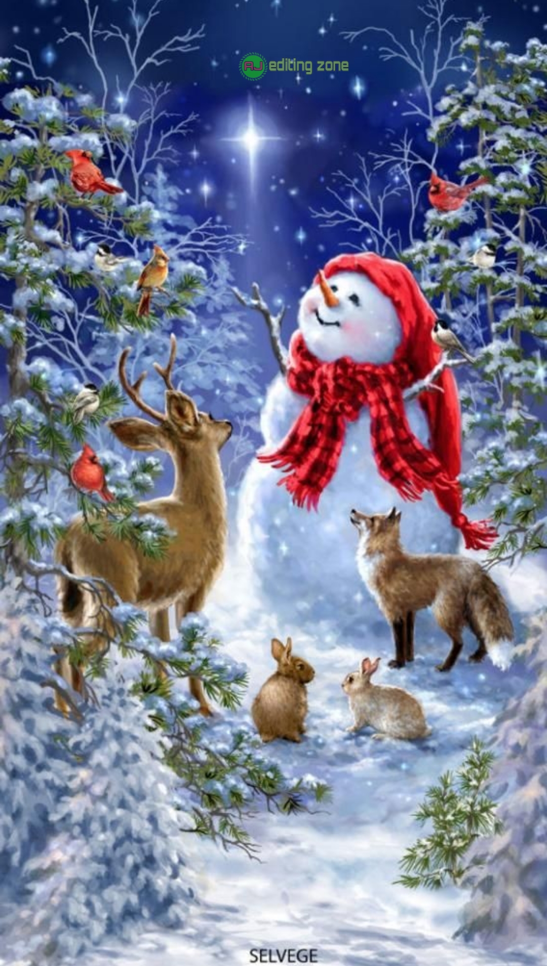 500+ Christmas De Festival Special Photo Editing Background Images for Picsart 2021