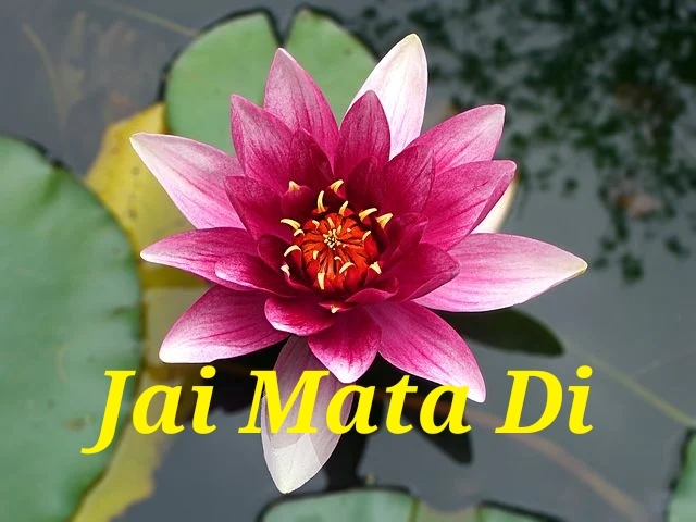 Happy Navaratri  Jai Mata Di