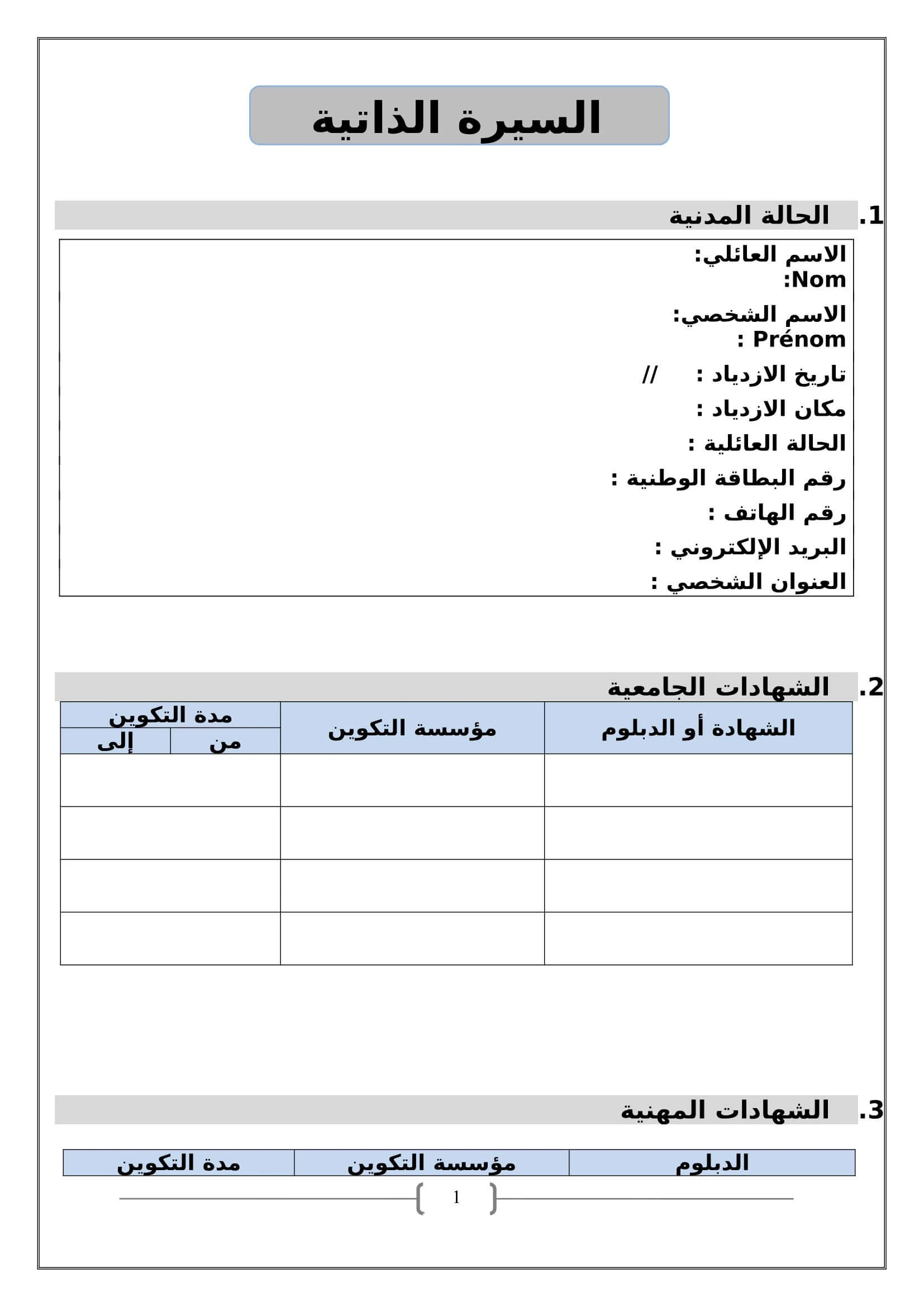 نهج السيرة الذاتية CV خاص بمباراة التفتيش