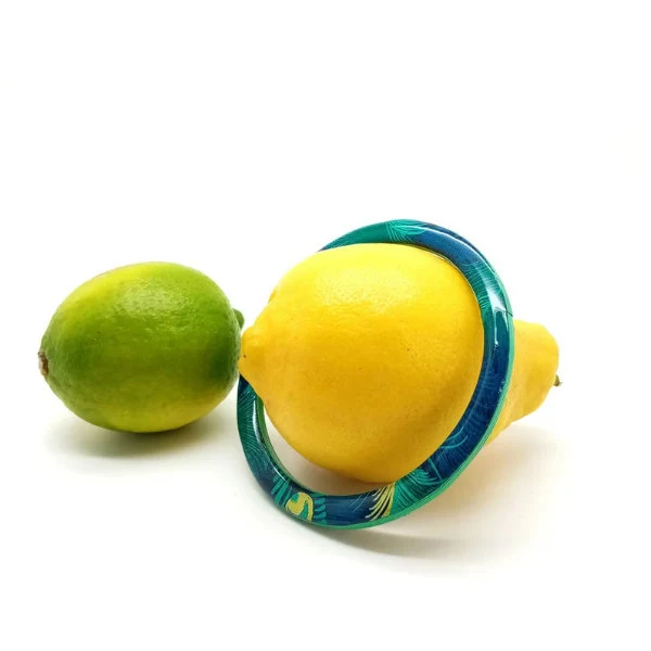 shiny tropical print bangle bracelet perched on lemon and placed alongside lime