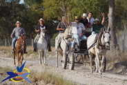 Romaria a cavalo Moita-Viana do Alentejo ''Poceirão-Landeira''