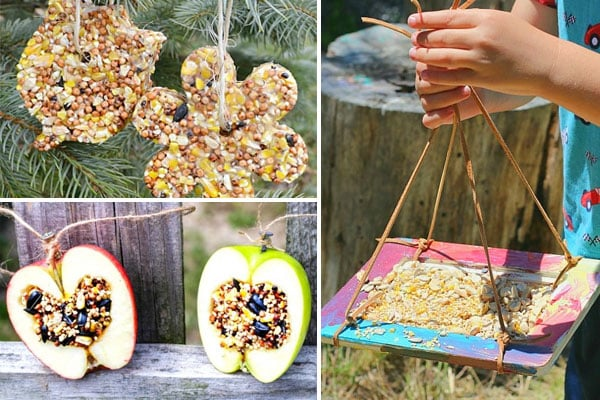 Homemade Bird Feeders for Kids