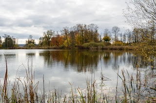 Naturfotografie Schwielowsee Havel Schloss Petzow