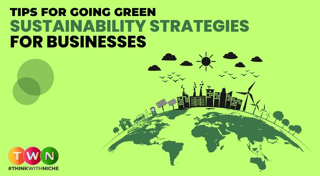 Sustainability Strategies for Businesses: Tips for Going Green