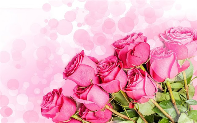 rose tamil flowers image download love flowers image download