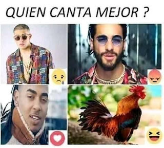 Memes de Maluma, Bad Bunny y Ozuna