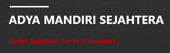 PT. ADYA MANDIRI SEJAHTERA || IT Engineering, Broadcast, Digital Marketing &amp; SEO Optimization