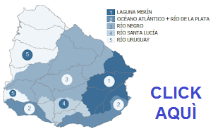 Boletín pluviométrico diario