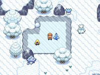 Pokemon The Lost Jewels of Poke-Island Screenshot 02