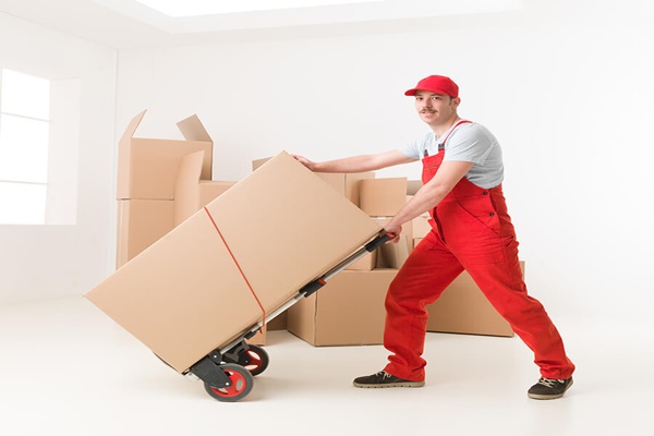 Removalist Service