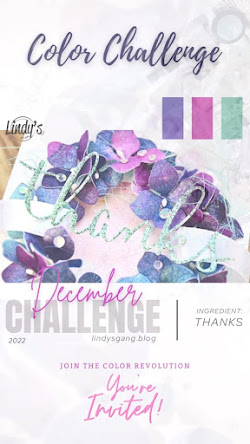 CHALLENGE BLOG LINDY4S BLOG