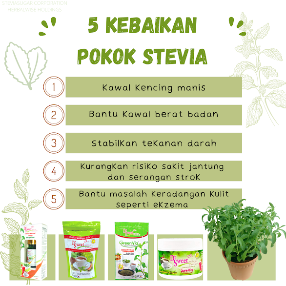 Manfaat pokok dan daun stevia untuk kesihatan