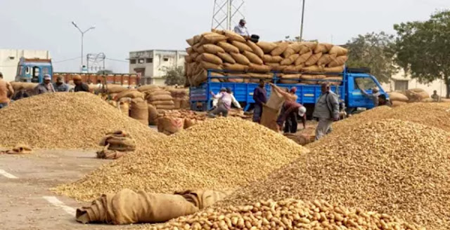 live commodity market price of peanut sales stabilize agriculture in Gujarat groundnut price and singdana bhav rise