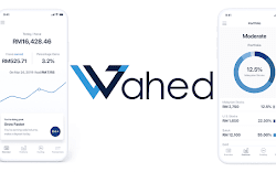 wahed invest returns