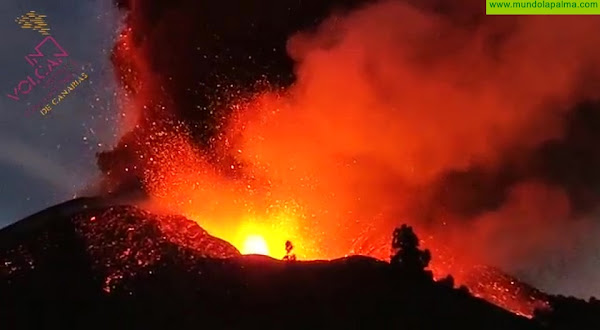 Los Llanos de Aridane  lleva gestionadas en torno a 300 Ayudas Económicas de Emergencia para las familias afectadas por la erupción