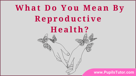 What Does Reproductive Health Mean? - Introduction, Concept And Meaning | Discuss Briefly What Good Reproductive Health Mean And Why It Is Necessary - www.pupilstutor.com