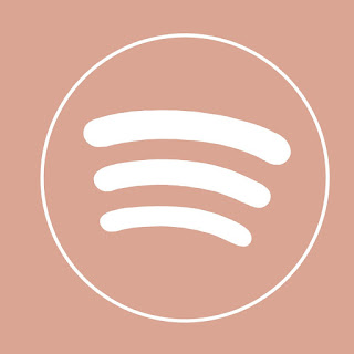 spotify aesthetic icon