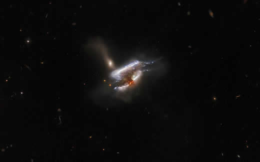 Aglomerado de galáxias IC 2431