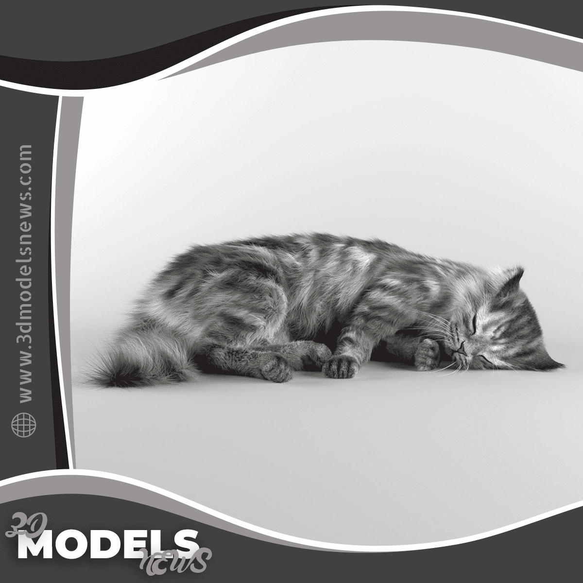 Sleeping Cat Model