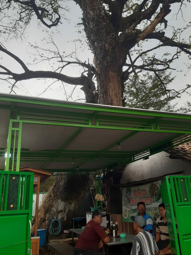 Pedagang Pasar Grati Tolak Rencana Pemotongan Pohon Trembesi oleh Dinas BMBK 
