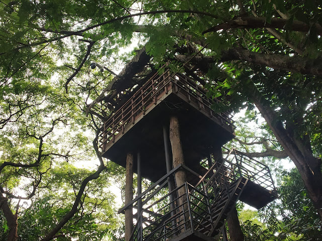 Top 3  Best treehouse Resort in Munnar