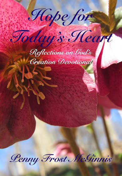 Hope for Today's Heart: Reflections on God's Creation Devotional