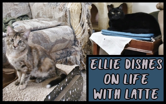 Ellie dishes on life with Latte