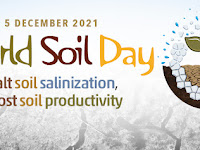 World Soil Day - 05 November.